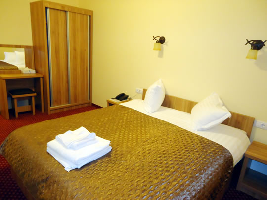 Camera Dubla Pensiunea Bucura