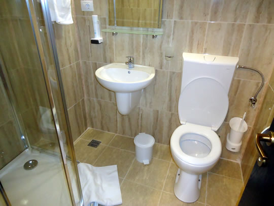 Camera Dubla Pensiunea Bucura